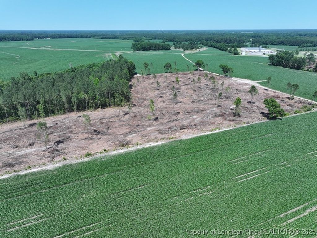 TBD NC Hwy 71 Highway, Red Springs, NC 28377 — photo 4
