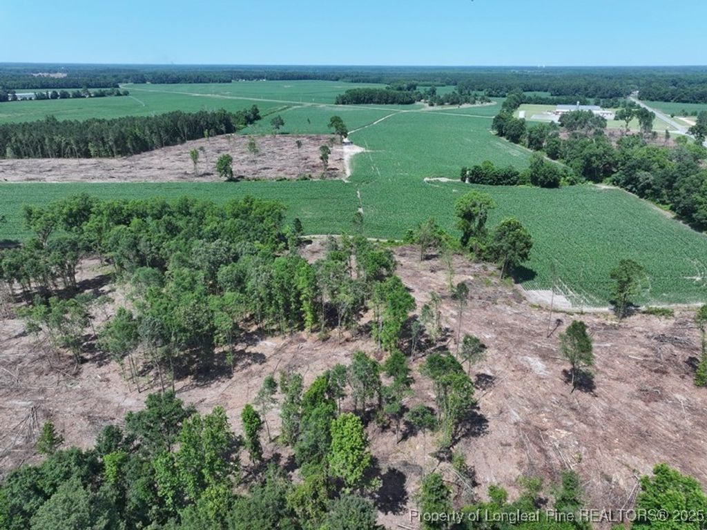TBD NC Hwy 71 Highway, Red Springs, NC 28377 — photo 5