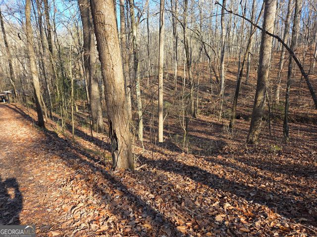 408 Apple Ridge 1, Dawsonville, GA 30534