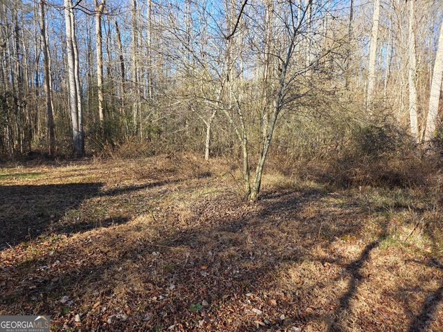 408 Apple Ridge 1, Dawsonville, GA 30534