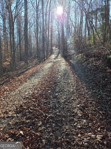 408 Apple Ridge 1, Dawsonville, GA 30534