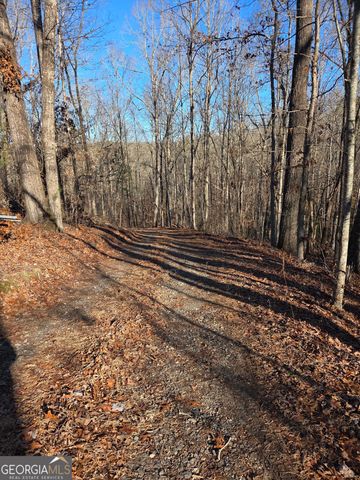 408 Apple Ridge 1, Dawsonville, GA 30534