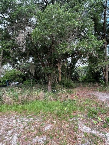 508 PALMETTO STREET, Eustis, FL 32726