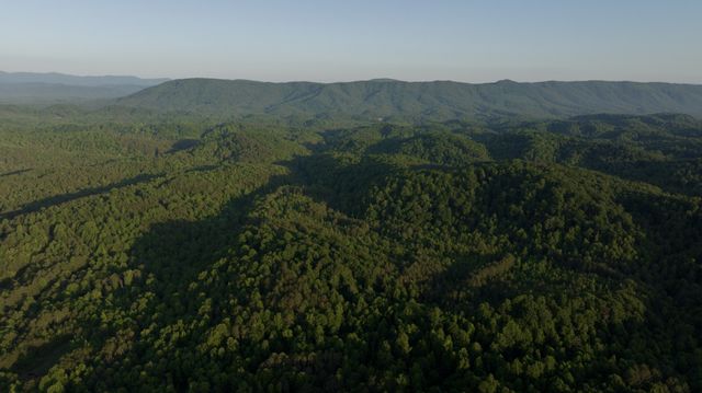 0 County Road 480, Englewood, TN 37329