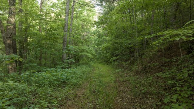 0 County Road 480, Englewood, TN 37329