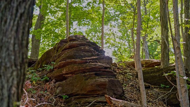 0 County Road 480, Englewood, TN 37329