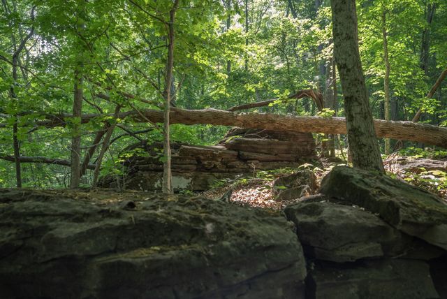 0 County Road 480, Englewood, TN 37329