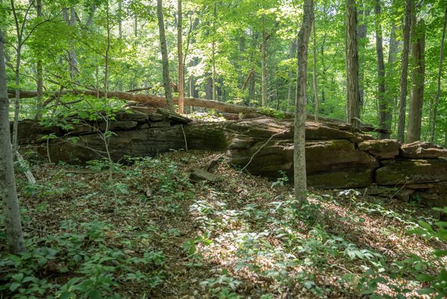 0 County Road 480, Englewood, TN 37329