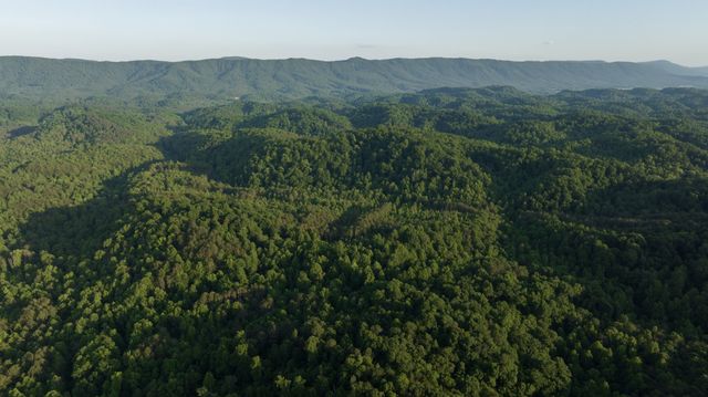 0 County Road 480, Englewood, TN 37329