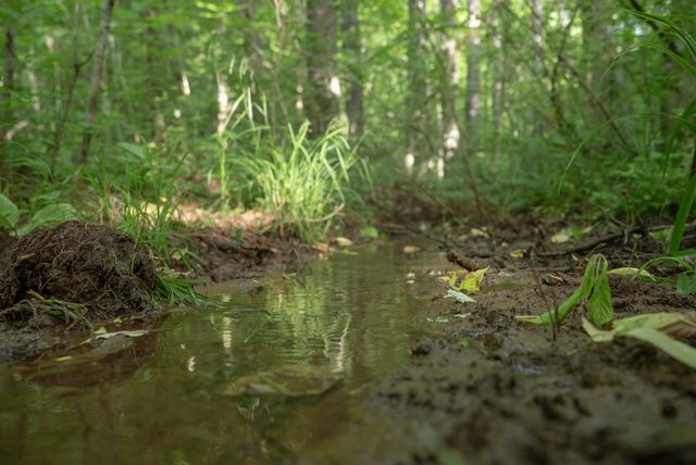 0 County Road 480, Englewood, TN 37329