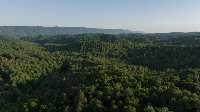 0 County Road 480, Englewood, TN 37329
