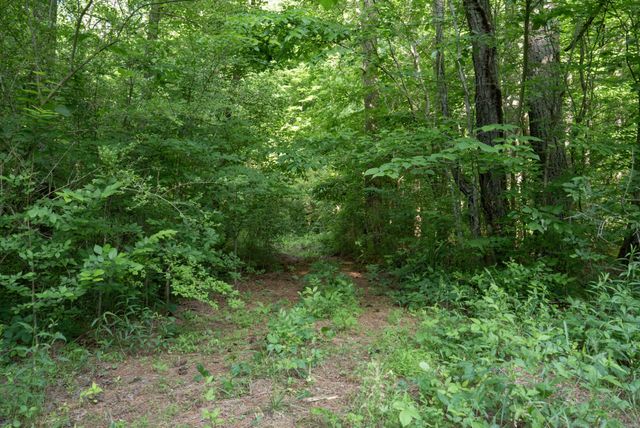0 County Road 480, Englewood, TN 37329