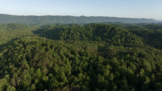 0 County Road 480, Englewood, TN 37329