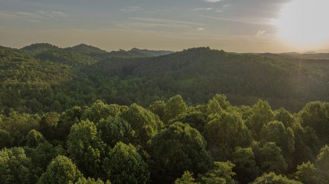 0 County Road 480, Englewood, TN 37329