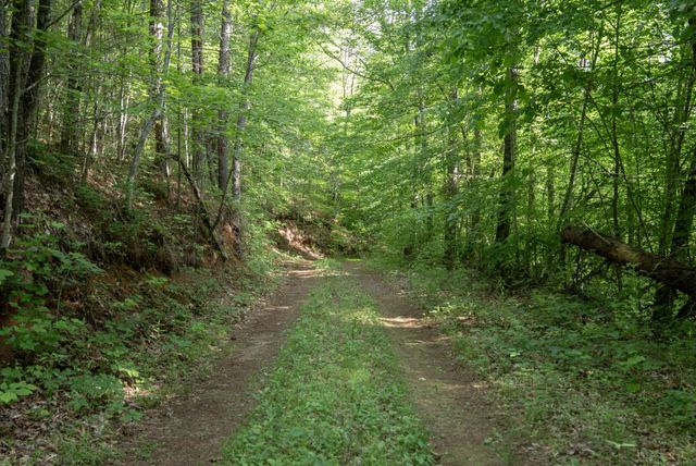 0 County Road 480, Englewood, TN 37329