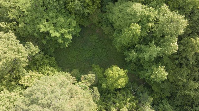 0 County Road 480, Englewood, TN 37329
