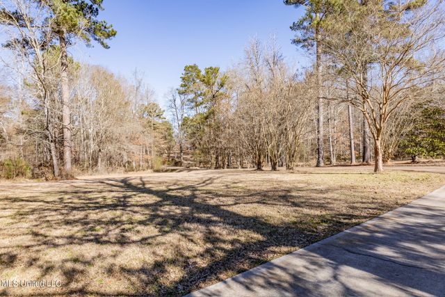 2050 Paradise Ridge, Brandon, MS 39042
