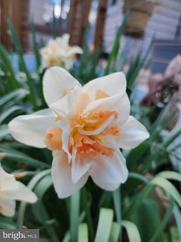 118 7TH ST, Colonial Beach, VA 22443