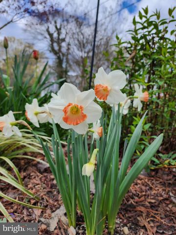 118 7TH ST, Colonial Beach, VA 22443