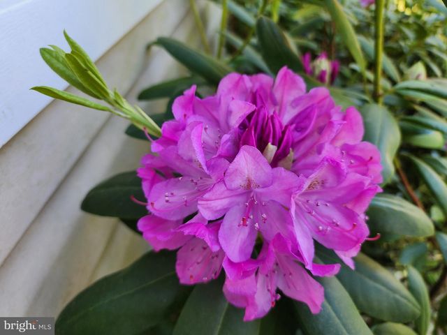 118 7TH ST, Colonial Beach, VA 22443