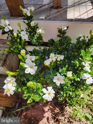 118 7TH ST, Colonial Beach, VA 22443