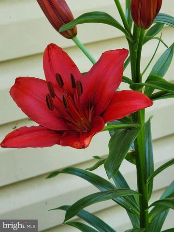 118 7TH ST, Colonial Beach, VA 22443