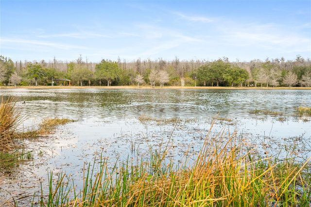 10235 CALA LILY TRAIL 35A, Orlando, FL 32832