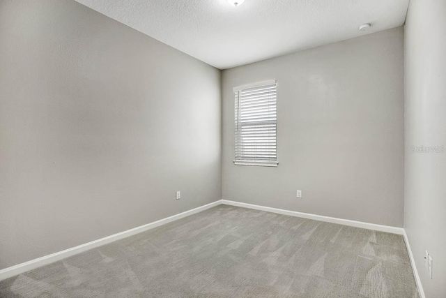 11607 BLUE WOODS DRIVE, Riverview, FL 33569