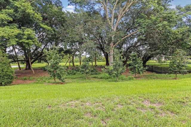 11607 BLUE WOODS DRIVE, Riverview, FL 33569