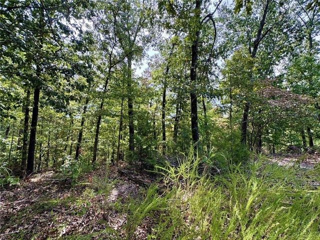 3 Burn Lane, Bella Vista, AR 72714
