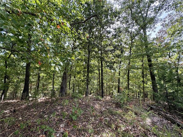 3 Burn Lane, Bella Vista, AR 72714