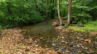 0 Furnace Hollow Road, Dickson, TN 37055