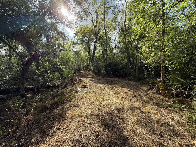 Tract 1 County Road 332, Sweeny, TX 77480