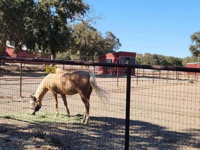 19237 Sandpiper Lane, Cottonwood, CA 96022