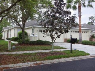 3336 CHAPEL CREEK CREEK, Wesley Chapel, FL 33543