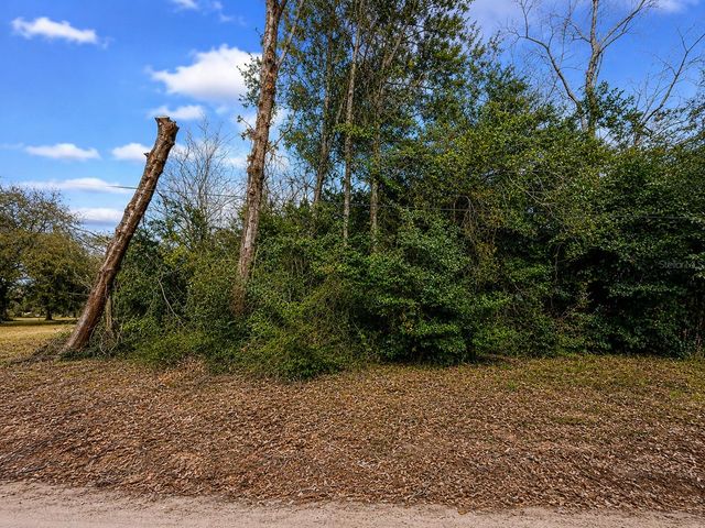 20710 STEWART ROAD, Dade City, FL 33523