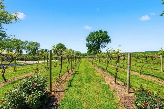 15088 Boone Monument Road, Unincorporated, MO 63357