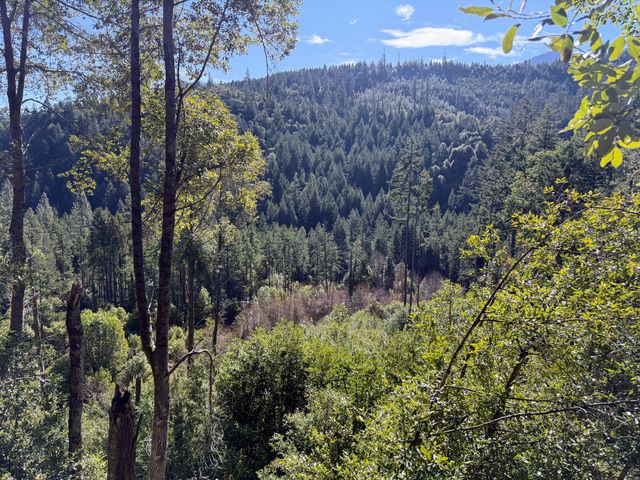 Cedar Flat Road, Cave Junction, OR 97523