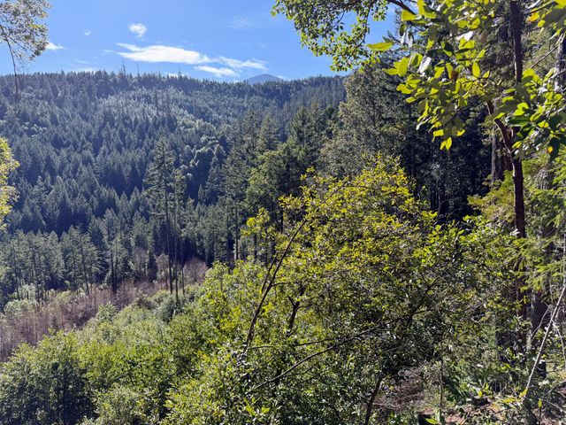 Cedar Flat Road, Cave Junction, OR 97523