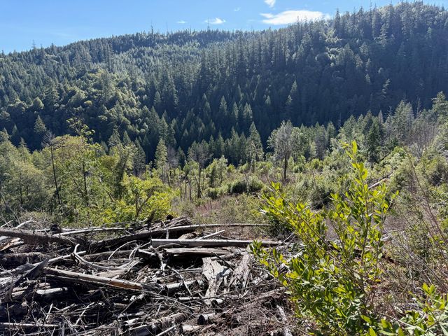 Cedar Flat Road, Cave Junction, OR 97523