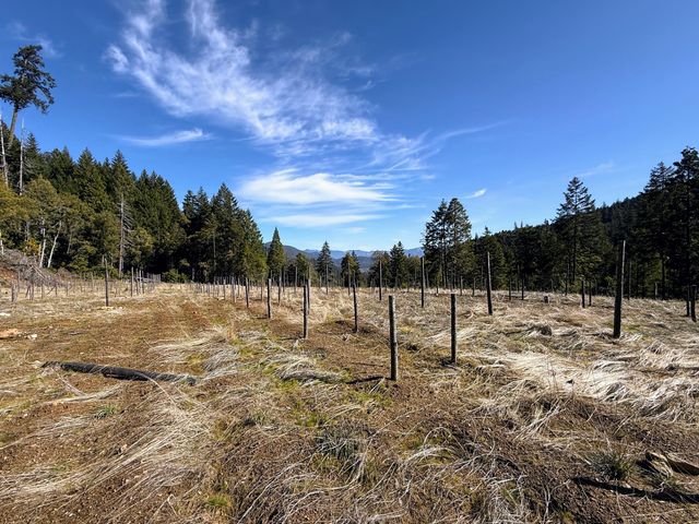 Cedar Flat Road, Cave Junction, OR 97523