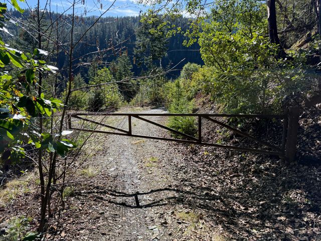 Cedar Flat Road, Cave Junction, OR 97523