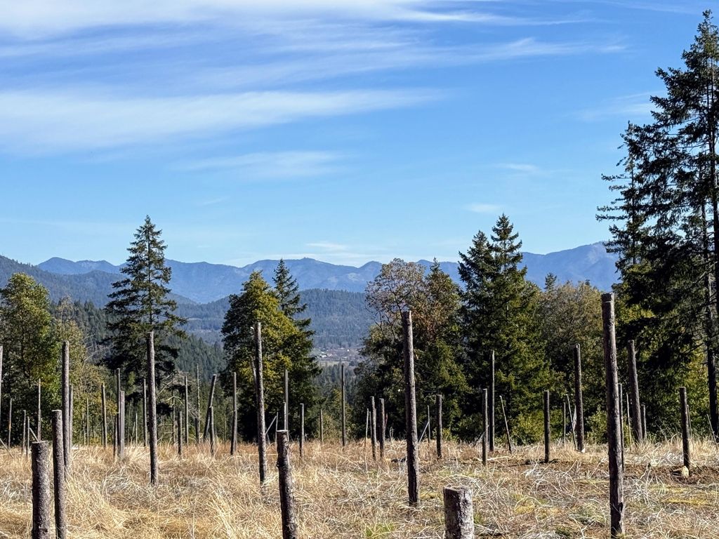 Cedar Flat Road, Cave Junction, OR 97523