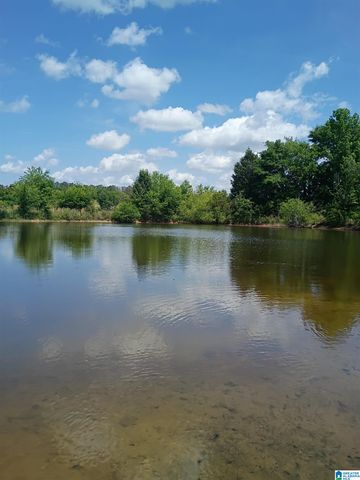 3664 JOE LEE ROAD, Talladega, AL 35160