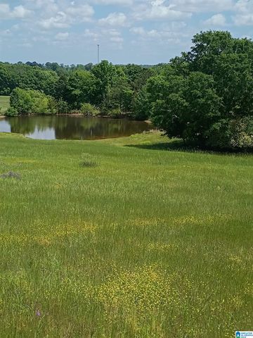3664 JOE LEE ROAD, Talladega, AL 35160