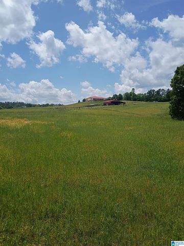 3664 JOE LEE ROAD, Talladega, AL 35160