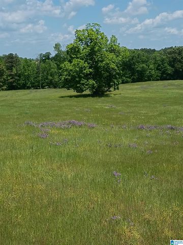 3664 JOE LEE ROAD, Talladega, AL 35160