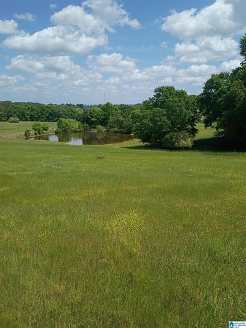 3664 JOE LEE ROAD, Talladega, AL 35160