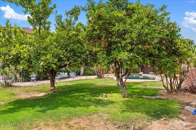 13030 W LUCHANA Drive, Litchfield Park, AZ 85340