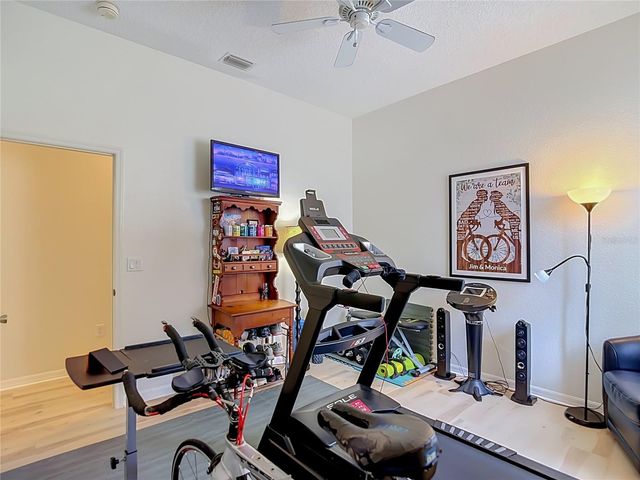 4706 MIRABELLA PLACE, Lutz, FL 33558
